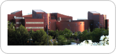 Escuela de Ingeniería